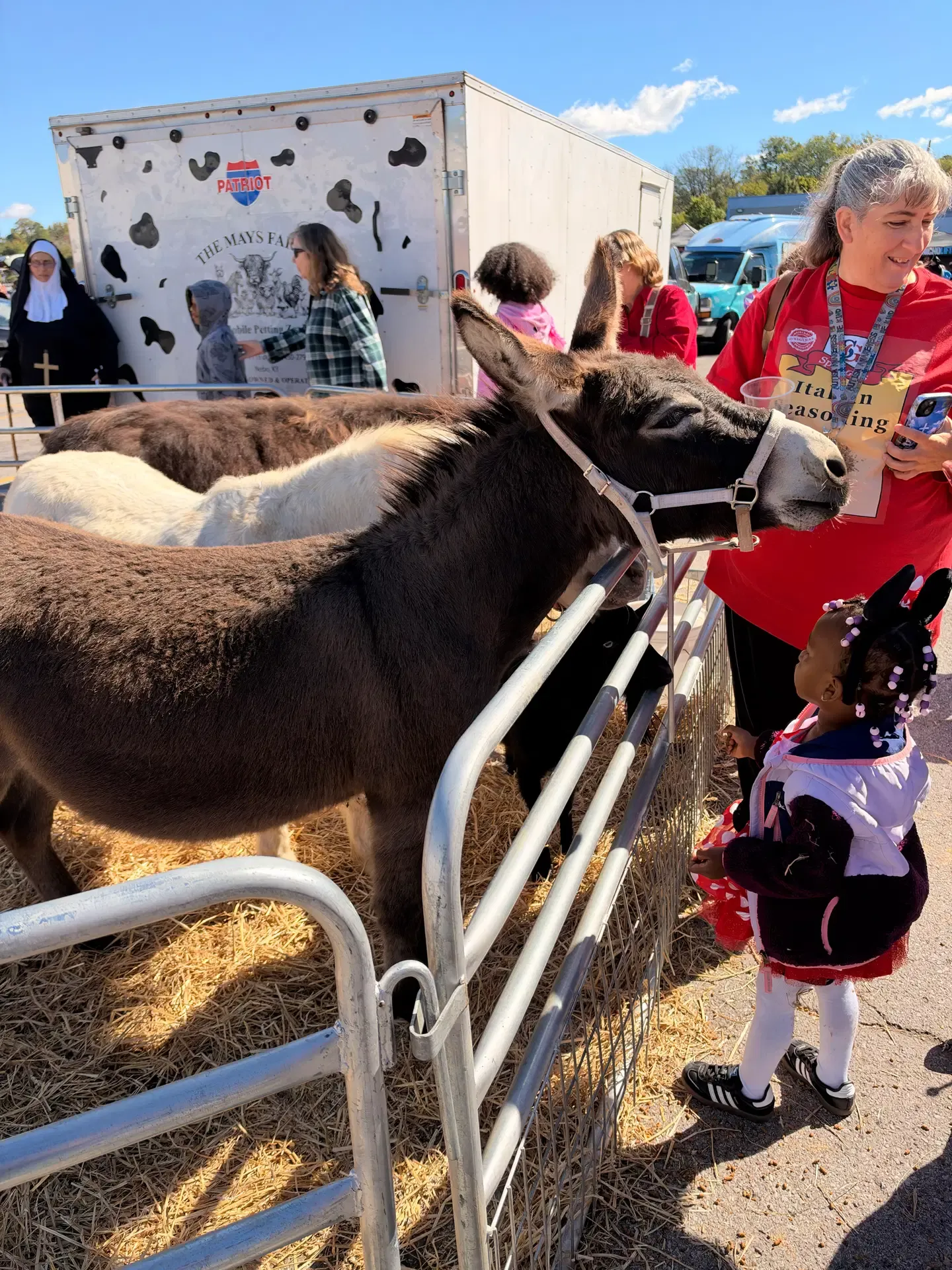 A community partner shares resources with festival visitors.